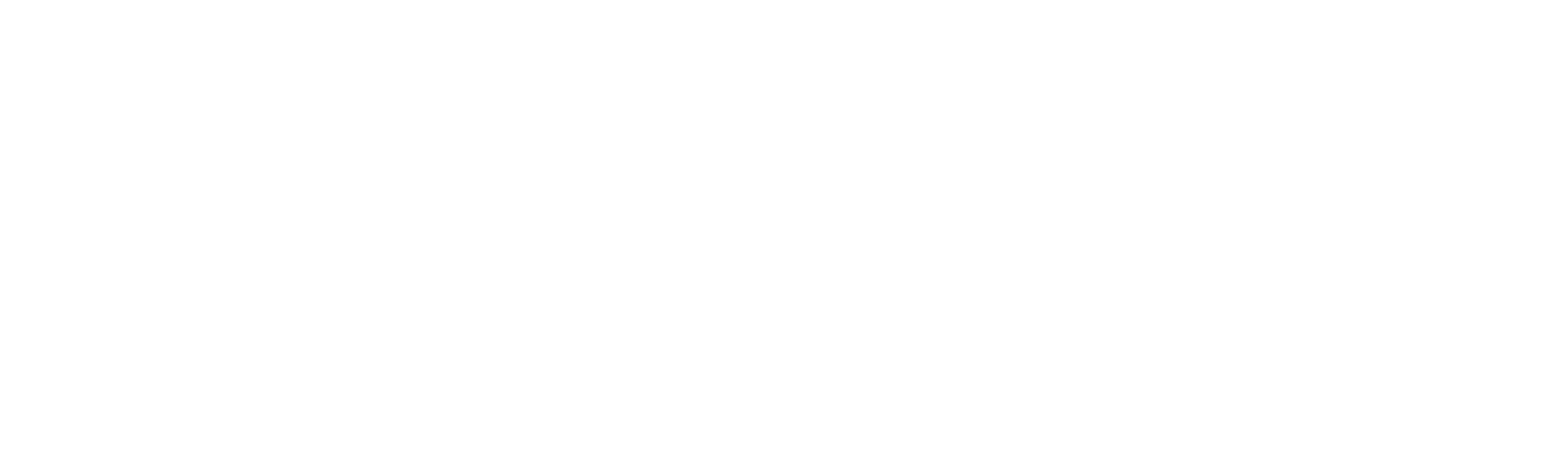 Digital Twin Leaders